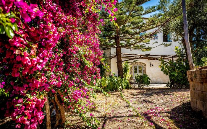 Villa Puolo – With Private Sea Access