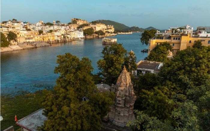 Jungle by sturmfrei Udaipur
