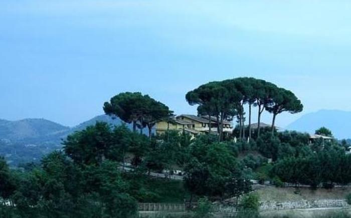 Villa Del Colle