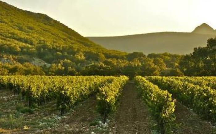 Domaine De Blancardy