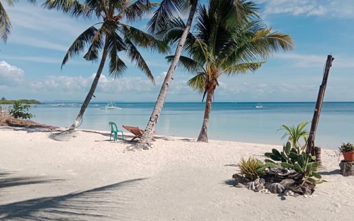 Ricks Mangrove Beach Resort 