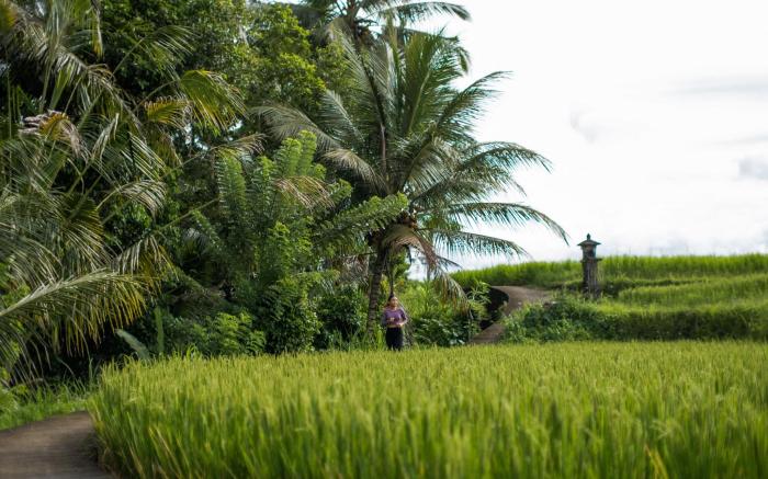 Hideaway Village Bali Ubud by Kanaan Hospitality