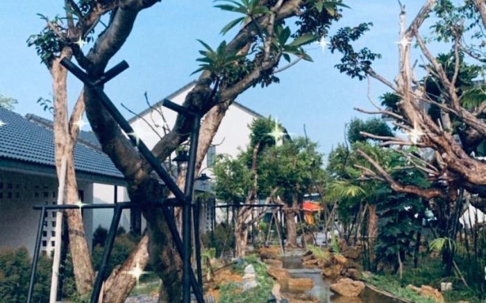 Trat Tara Boutique Hotel