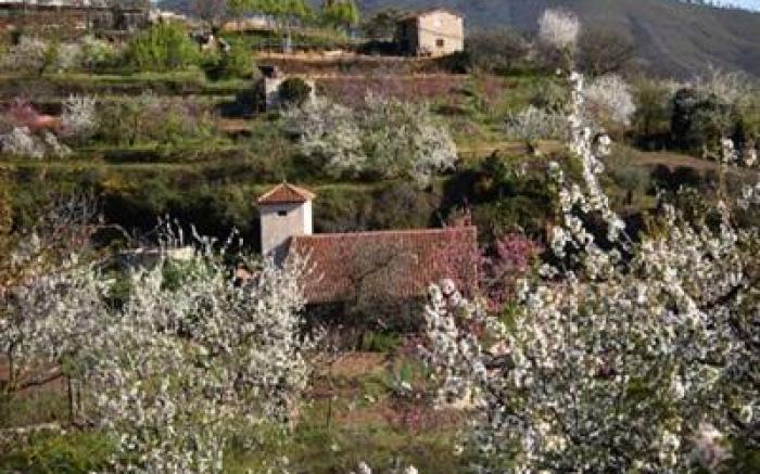 La Posada del Casar