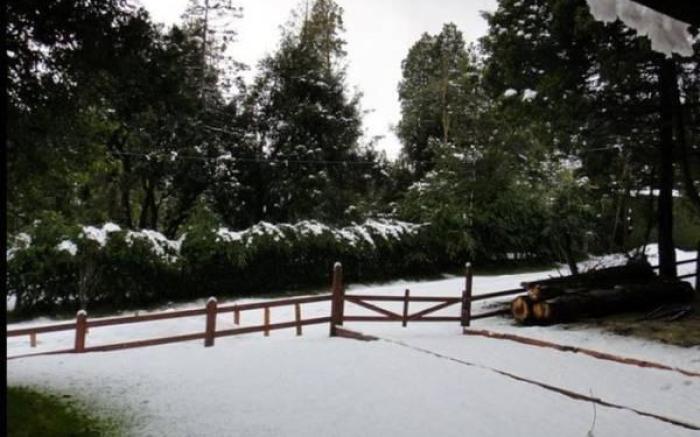 Bosque del Nahuel Hotel