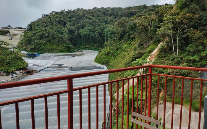 Ammara Homestay 3 Emerald Avenue 