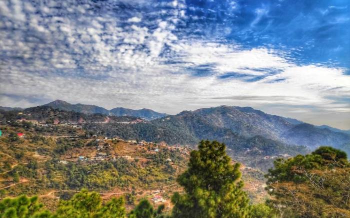 Kasauli  Greens - Homestay