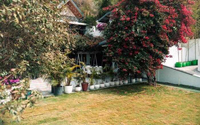 The Bougainvillea Retreat