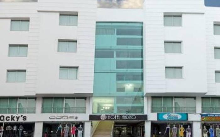 Hotel Andino