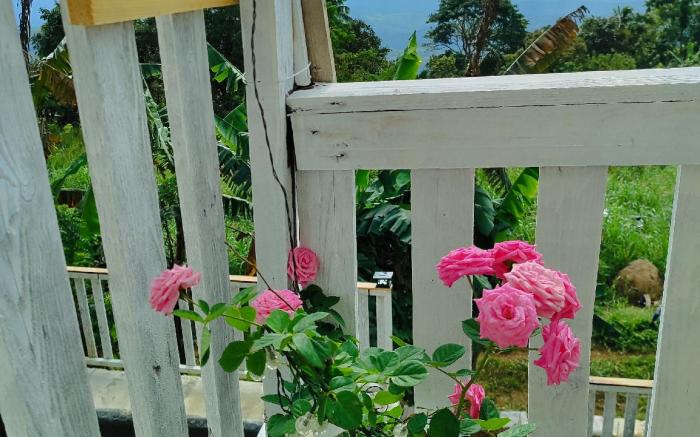 Sea of clouds  Staycation house