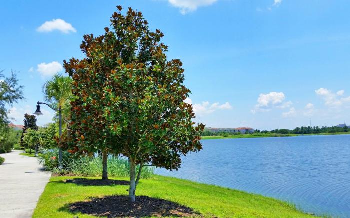 Modern Vista Cay Condo, near Universal Studios!