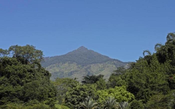 Kaliandra Sejati Eco Resort