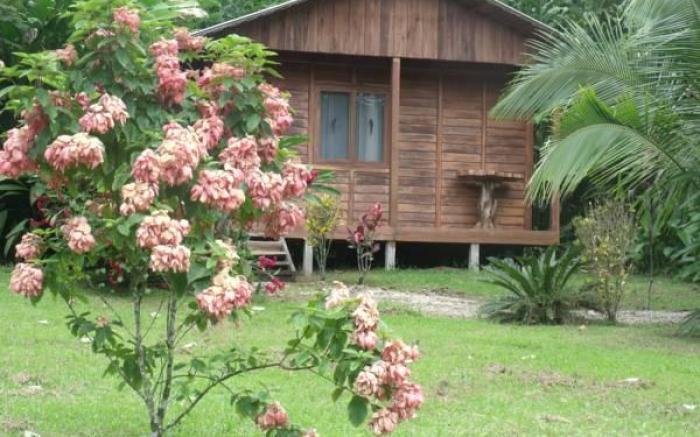 Cataratas Bijagua Lodge, incluye tour autoguiado Bijagua Waterfalls Hike