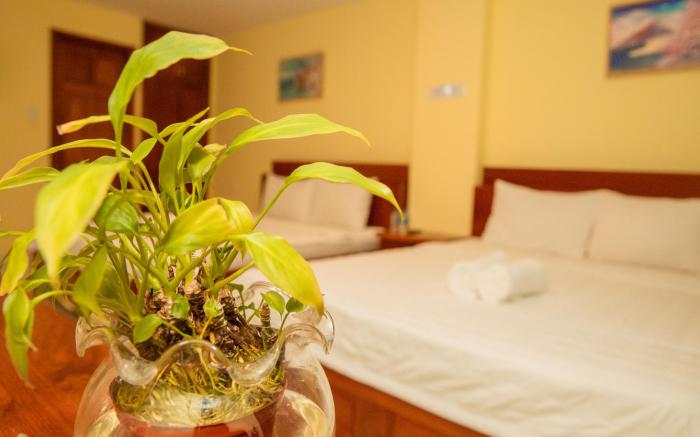 Thùy Trang Hotel