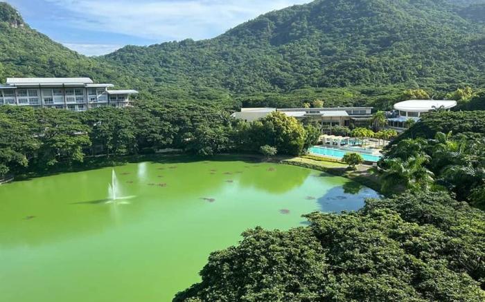 Pico De Loro Staycation Room Rental
