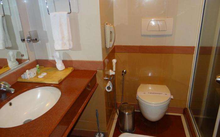 Hotel Airlink Castle