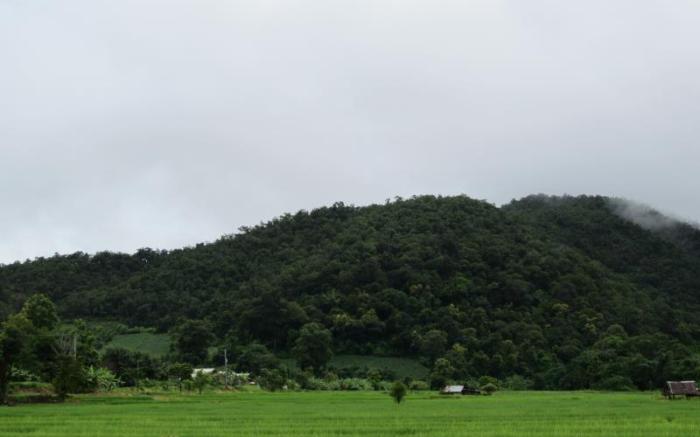 Pai My Guest Resort