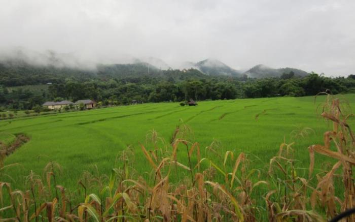 Pai My Guest Resort