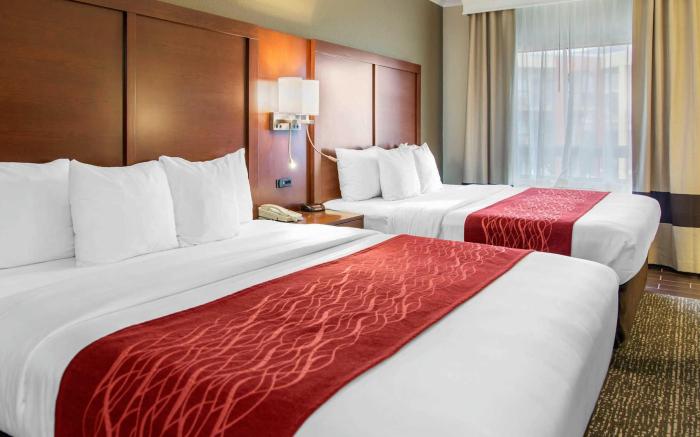 Comfort Inn & Suites San Francisco Airport North