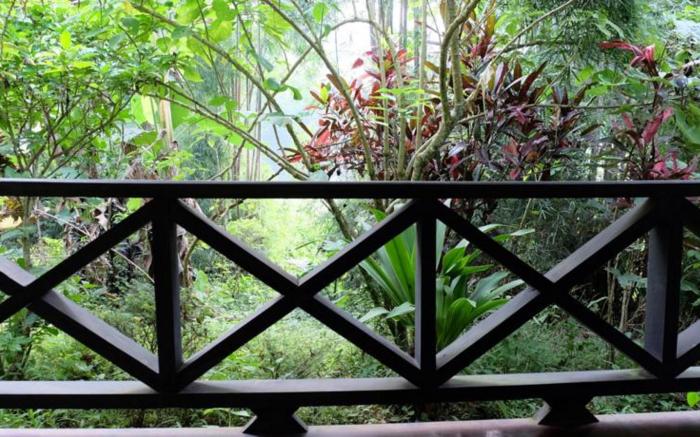 Hillside - Nature Lifestyle Lodge