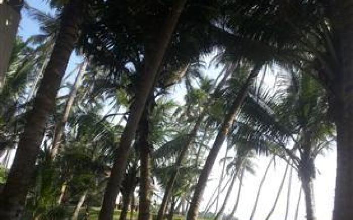 Dickwella Beach Hotel