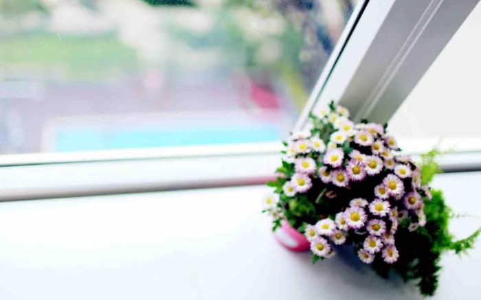 ❤️Jolie Home❤️private flat★Free Pool⭐5' to airport