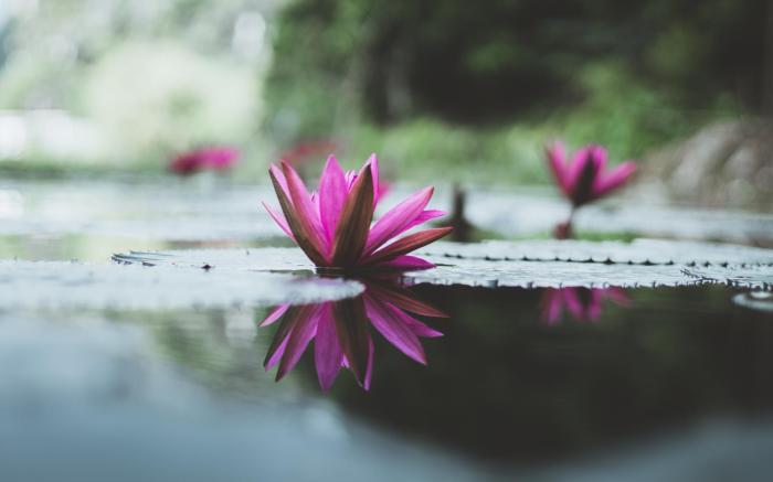 Quoc Khanh Bamboo homestay