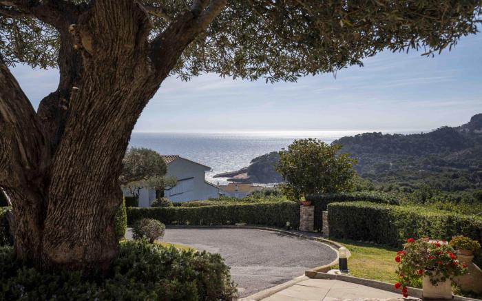 Alta House Suites Sa Blava