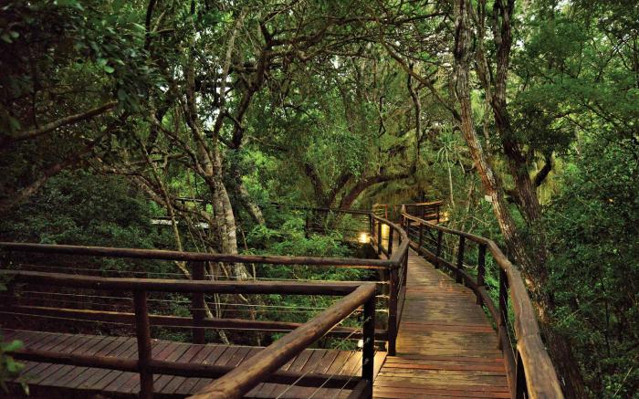 Nibela Lake Lodge by Dream Resorts