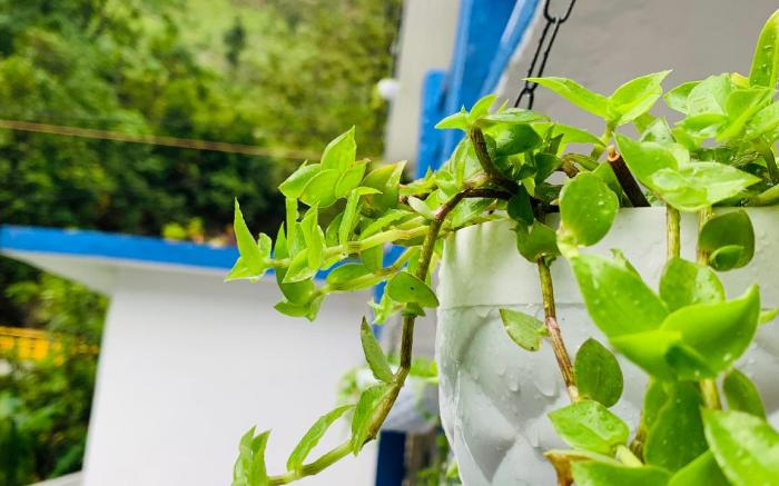 La Riviere Waterfront A Traditional Stay