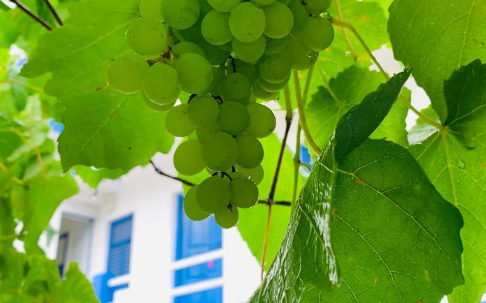 La Riviere Waterfront A Traditional Stay