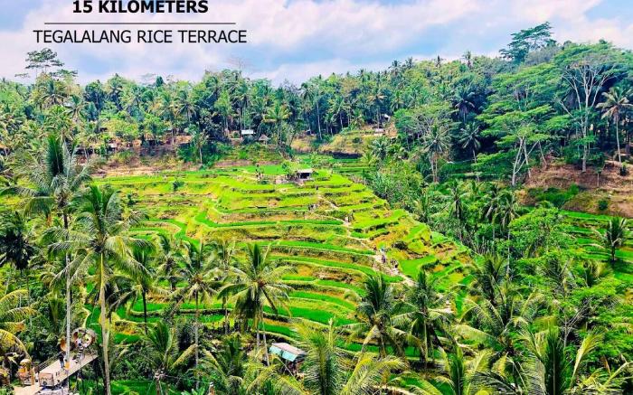 Green Flow Villa 5 Ubud