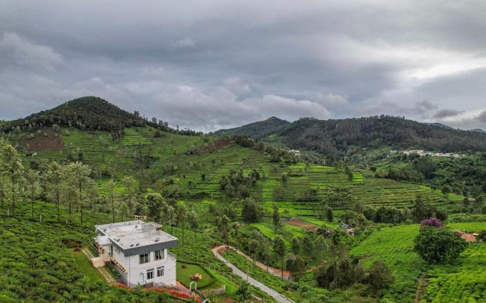 Heavenly Hills