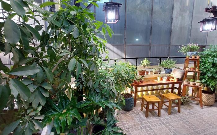alley homestay_liễu giai