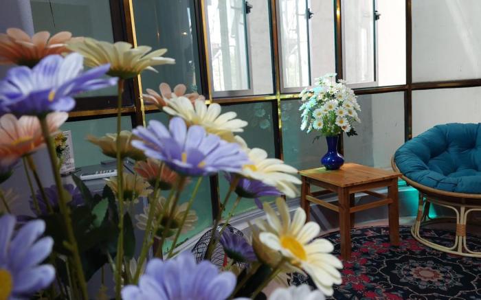 alley homestay_liễu giai