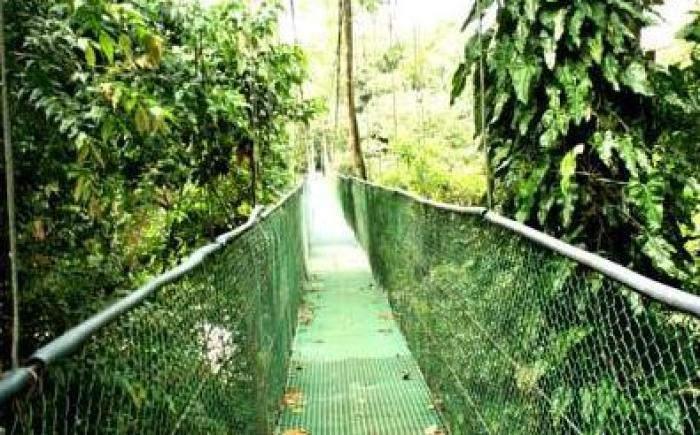 Tirimbina Rainforest Lodge