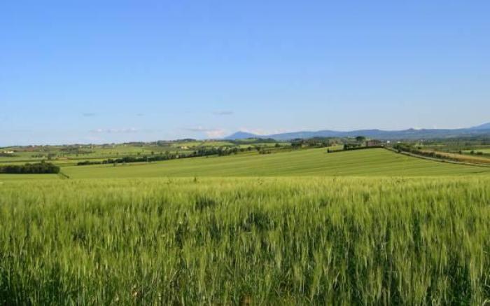 Agriturismo San Francesco