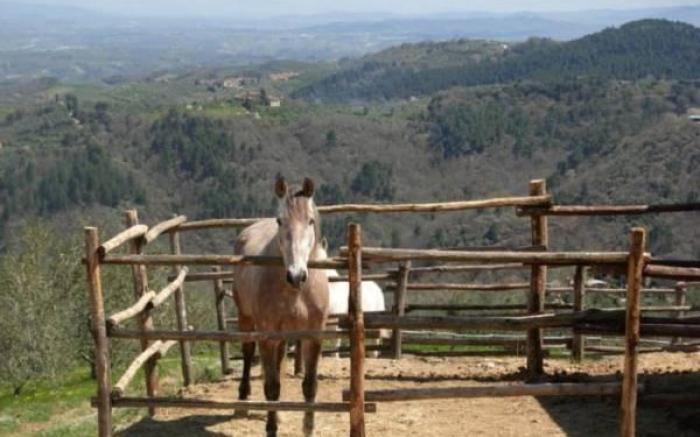 Agriturismo La Forra