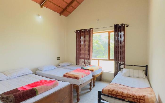 Thotadagadde homestay