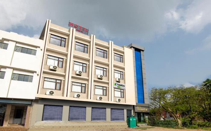 Treebo Trinetar International