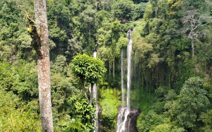 Sugi Gede Homestay