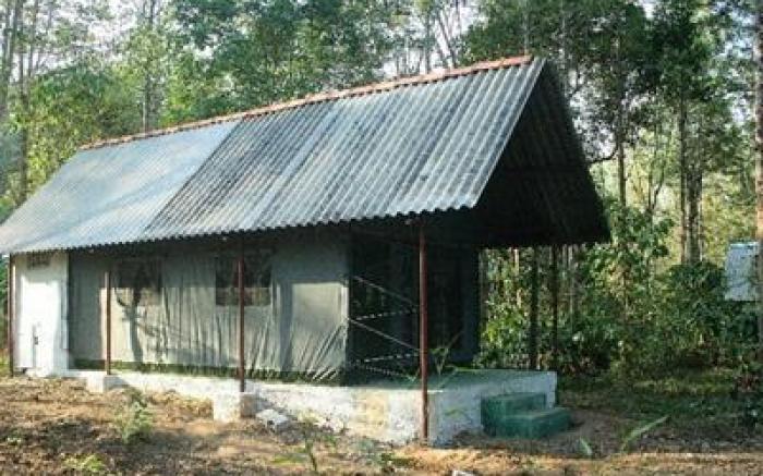 Deep Jungle Home