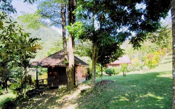 Phanom Bencha Mountain Resort
