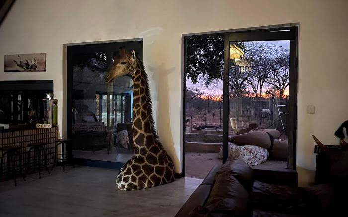 Simba Safaris African Pride Exotic Lodge