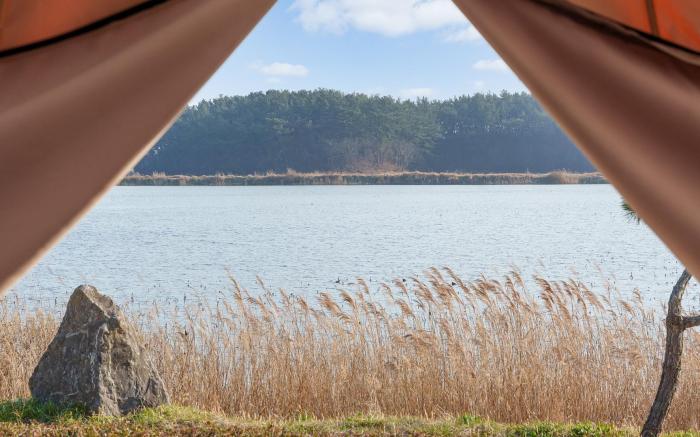 Taean Bibi ArtGlamping