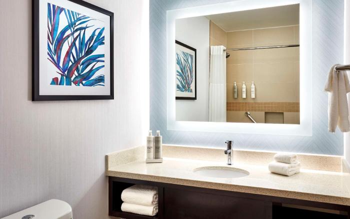 Hilton Garden Inn Valencia Six Flags Hotel