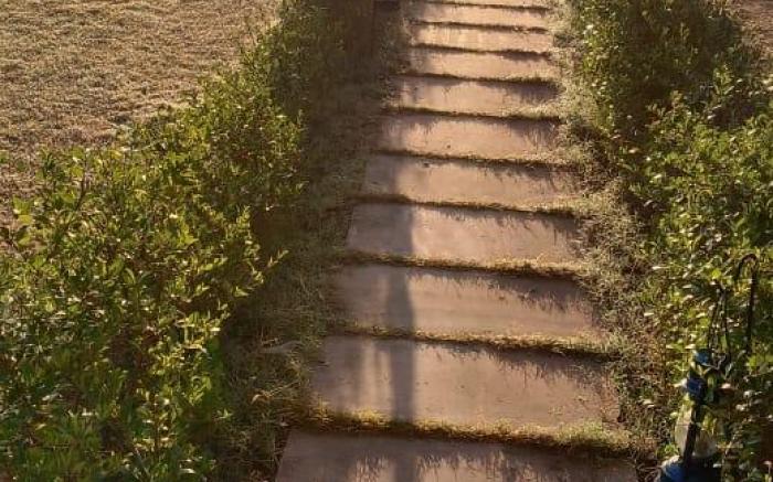 Leopard Valley Ranthambhore