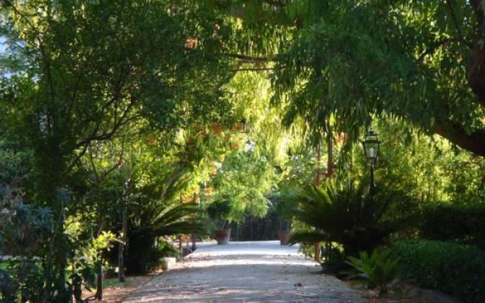 Finca Cas Sant