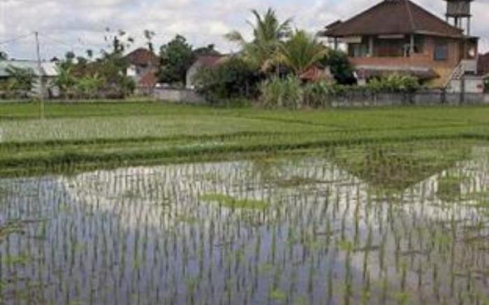 Three Dewi's Guest House