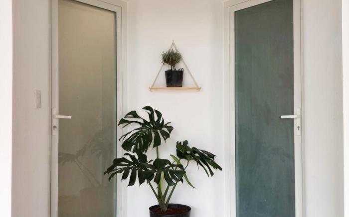 Summer Stay - Đà Lạt